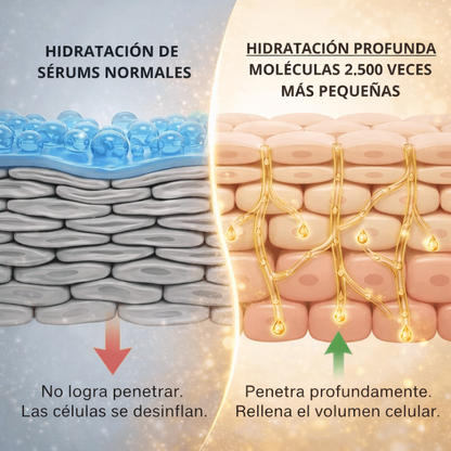 DEEP COLLAGEN™ | PIEL RADIANTE Y FIRME CON EL PODER DEL COLÁGENO COREANO